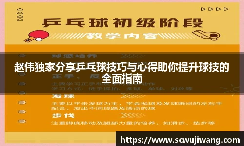 赵伟独家分享乒乓球技巧与心得助你提升球技的全面指南