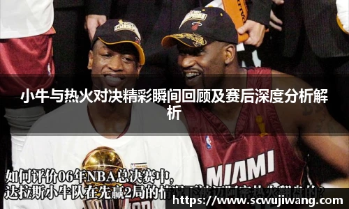 小牛与热火对决精彩瞬间回顾及赛后深度分析解析